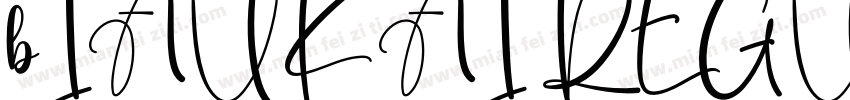 bIAUKAI REGULAR字体转换